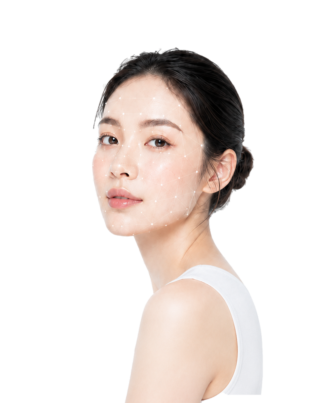 ใบหน้านางแบบพร้อมจุดแนะนำฟิลเลอร์